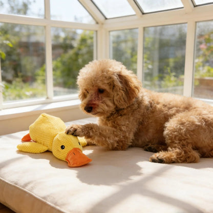 MRWJ 2026 New Yellow Calming Duck Plush Dog Toy - Durable Chew, Interactive Quacking Sound, Cozy Indoor Sleep Pillow for Naps