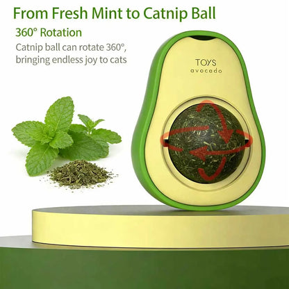 Wall-Mounted Catnip Chew Toy - Bite-Resistant Cartoon 360° Spinning Ball for Indoor Cats, Kittens, Indoor Kitty Lifestyle, Calming Dental Care & Interactive Play (Wall-Mounted Design)
