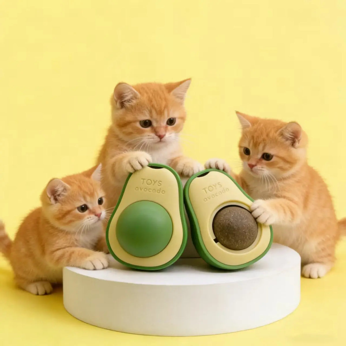 Wall-Mounted Catnip Chew Toy - Bite-Resistant Cartoon 360° Spinning Ball for Indoor Cats, Kittens, Indoor Kitty Lifestyle, Calming Dental Care & Interactive Play (Wall-Mounted Design)